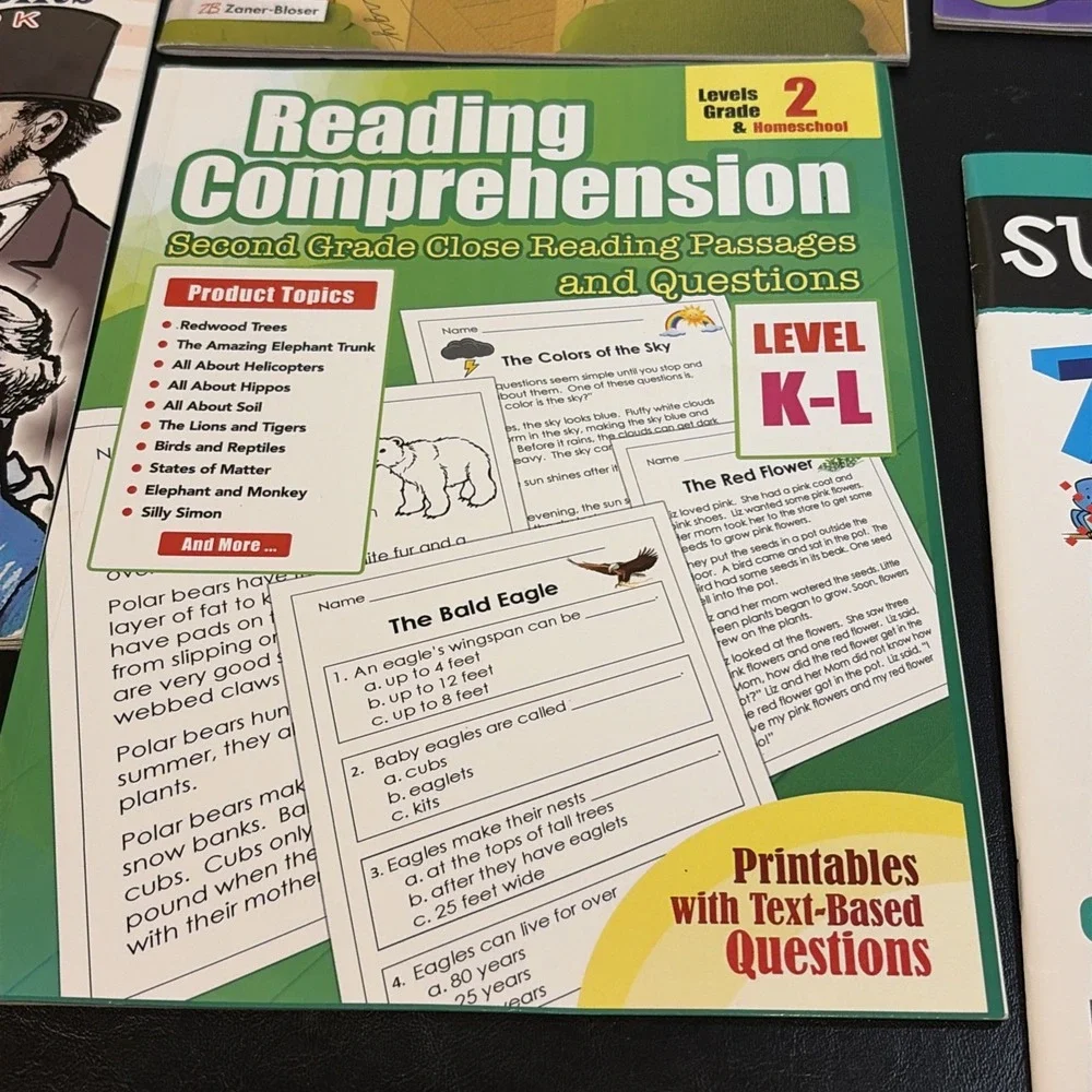 Education Home School Workbooks Lot Math, Writing, Reading Various Grades